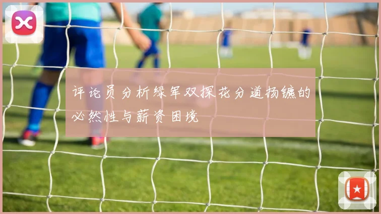 评论员分析绿军双探花分道扬镳的必然性与薪资困境